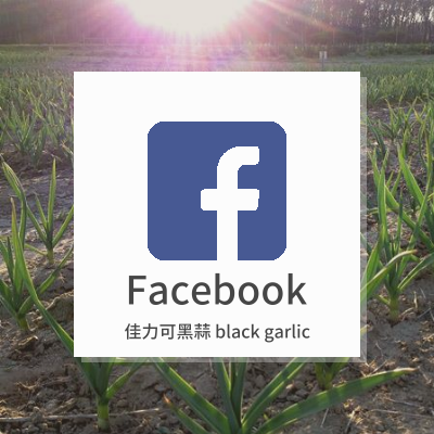 Facebook 粉絲團